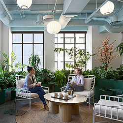 Workplace lounge